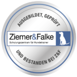 miteinander-hundetraining-ausbildung-ziemer-falke